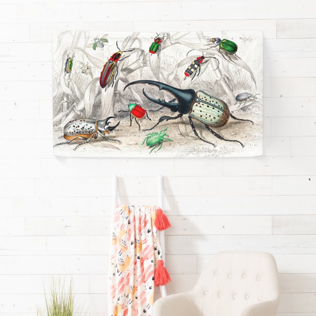 Banderoles Hercules Beetle, Scarabaeus Tityus, Stried (En situation)