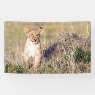 Banderoles Jeune lion