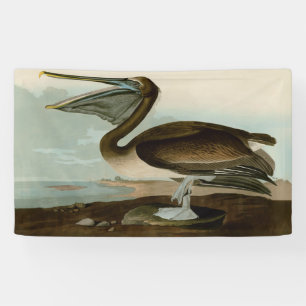 Banderoles John James Audubon Peinture Pélicane Brown