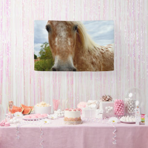 Banderoles "L'allure de Sugar : La grâce de l'Appaloosa"