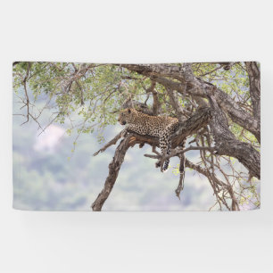 Banderoles Leopard sur un arbre