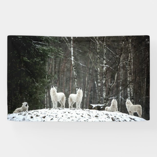Banderoles Loup polaire sauvage (Horizontal)