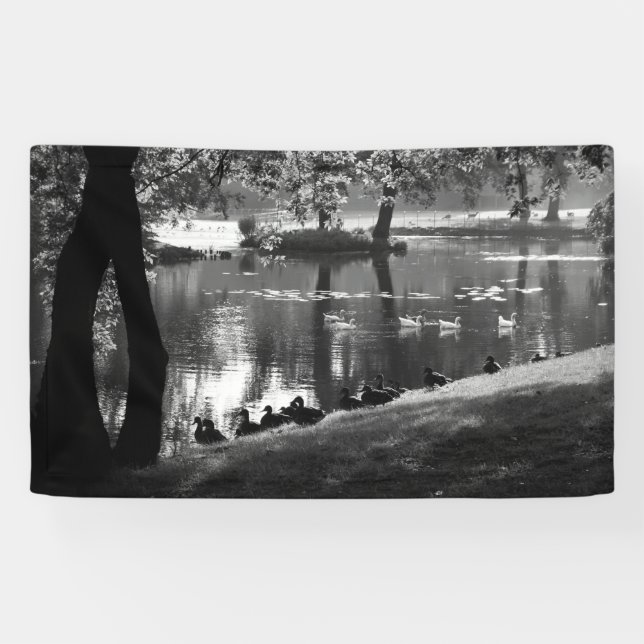 Banderoles Park Life bnrcna (Horizontal)