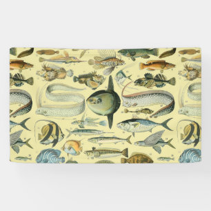Banderoles Pêche scientifique vintage