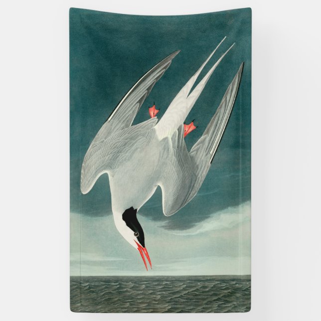 Banderoles Peinture de la faune de la sterne de l'Arctique Au (Vertical)