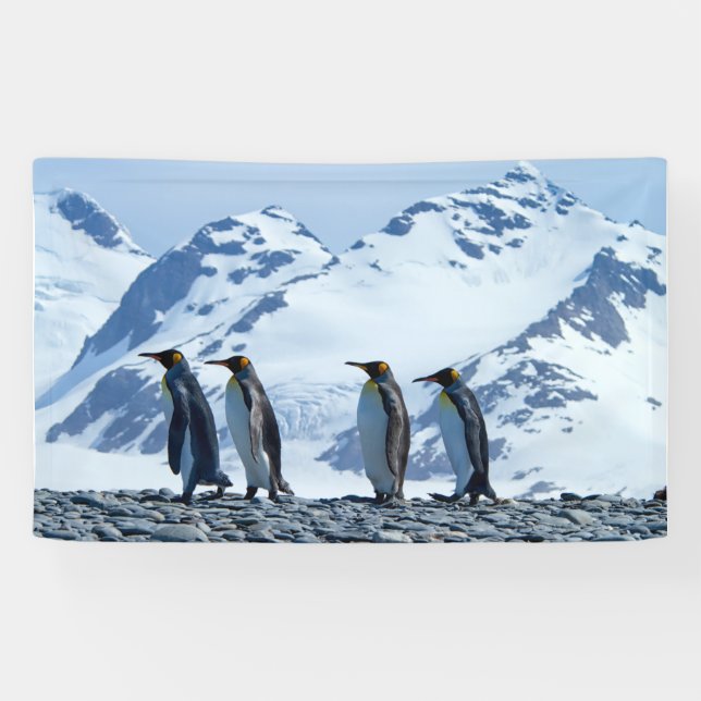 Banderoles Penguins du roi de Géorgie du Sud (Horizontal)