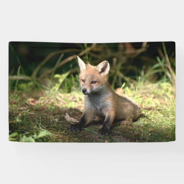 Banderoles Petit Cub (Horizontal)