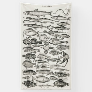 Banderoles Poisson noir et blanc, océan, ichtyologiste