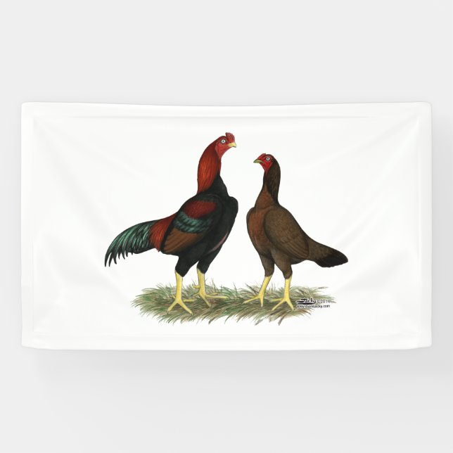 Banderoles Poules Aseel Black Red (Horizontal)
