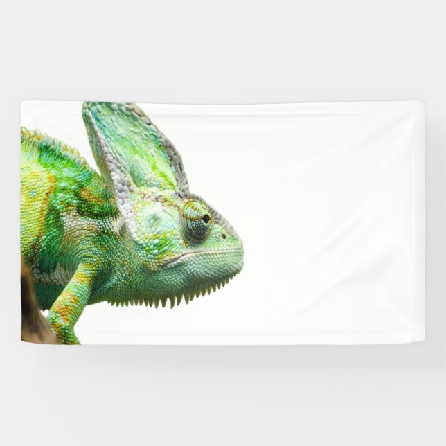 Banderoles Reptile exotique (Horizontal)