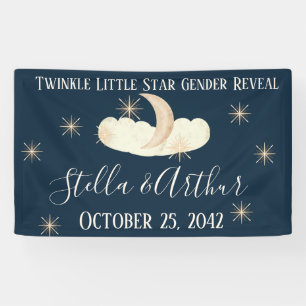 Banderoles Signes de fête Twinkle Little Star - Genre céleste