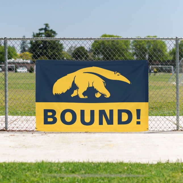 Banderoles Université de Californie, Irvine Anteater (Insitu)