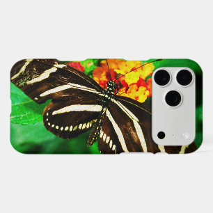 Bandes blanches noires zèbre papillon photo longue