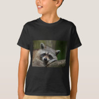 Bandit at Rest Cute Raccoon