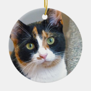 bandit ceramic ornament