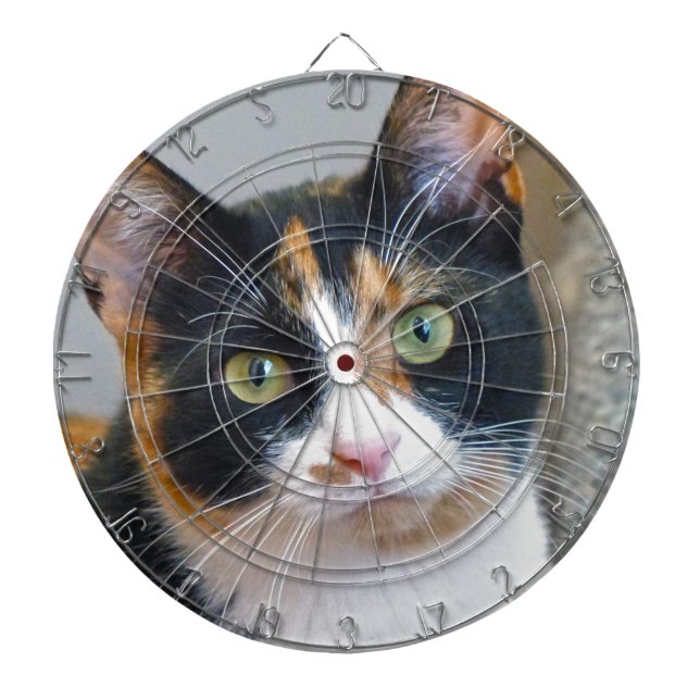 Bandit Dartboard (Front)