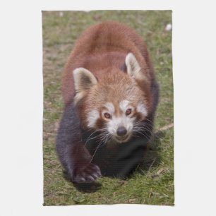 Bandit Kitchen Towel