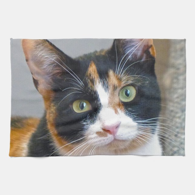 Bandit Kitchen Towel (Horizontal)