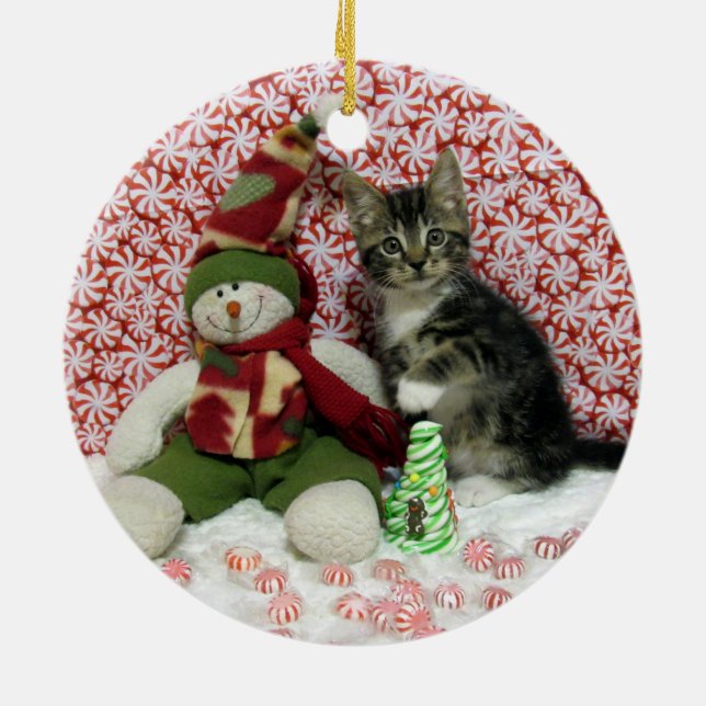 Bandit Kitten Cat Rescue Christmas Ceramic Ornament (Back)