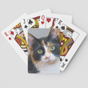 Bandit Playing Cards