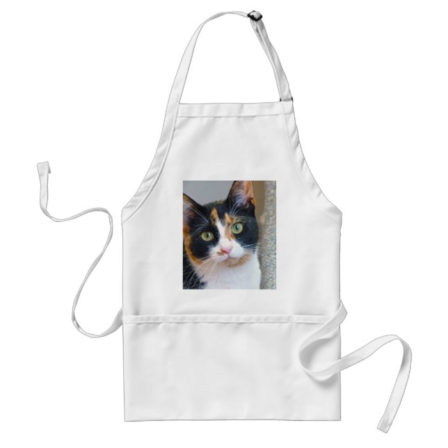 Bandit Standard Apron (Front)