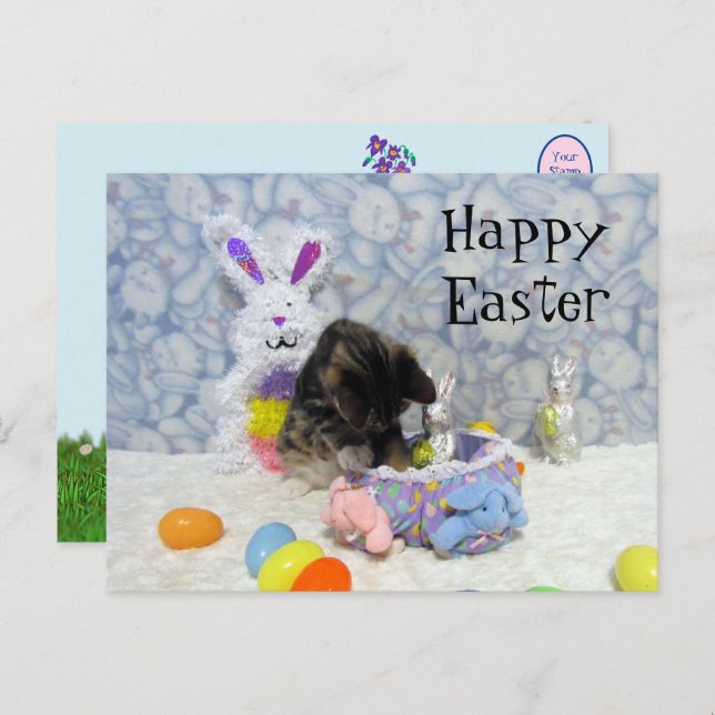 Bandit's Easter Basket - Postcard (Front/Back)