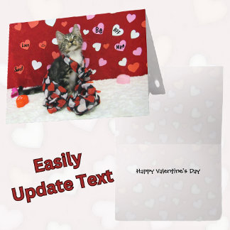 Bandit's Valentine's Card - Cat / Kitten