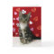 Bandit's Valentine's - Cat / Kitten Valentine Card