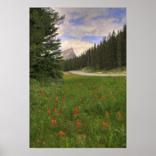 Banff National Park Poster