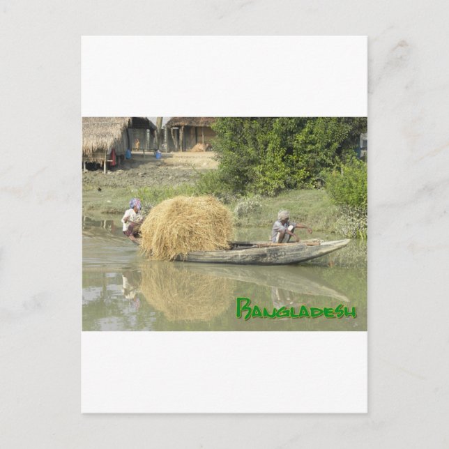 Bangladesch-Reisboot Postcard (Front)