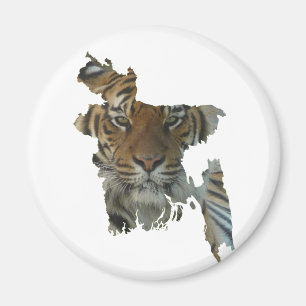 Bangladesch-Tiger Magnet