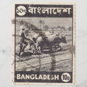 Bangladesh postage stamp  with a man and bulls