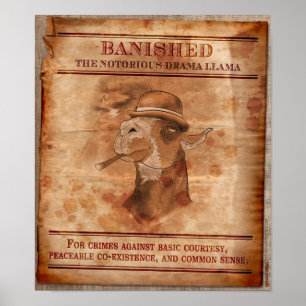 Banish Drama Llamas - Poster 12" x 14"
