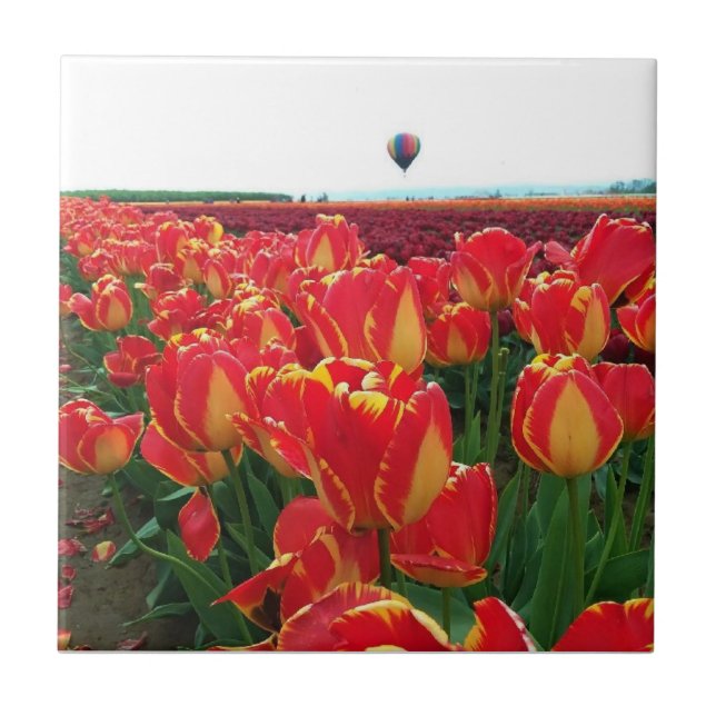 Banja Luka Tulips in a Field with Hot Air Balloon Tile (Front)