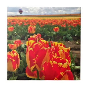 Banja Luka Tulips with Hot Air Balloon Tile