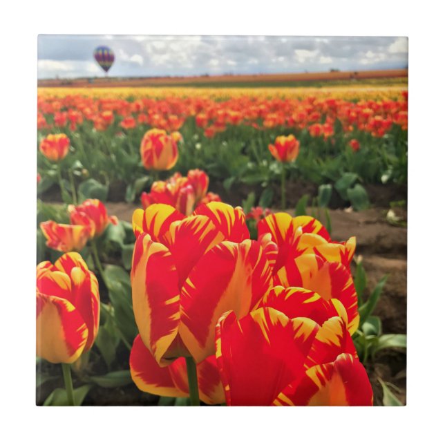 Banja Luka Tulips with Hot Air Balloon Tile (Front)