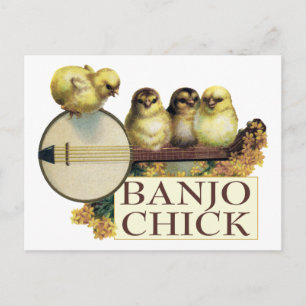Banjo Chick Postcard