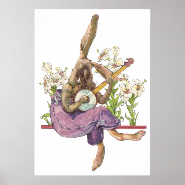 Banjo Jouer Bunny Poster (Devant)