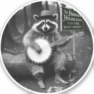 Banjo Raccoon