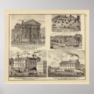 Banks, residences and breweries in Shawneetown Poster