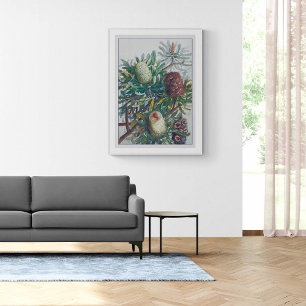 Banksia Flowers Ellis Rowan 1782 Poster