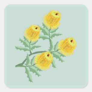Banksia flowers square sticker
