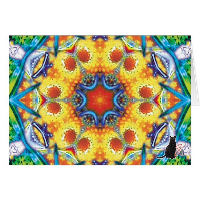 Bannapuddin KC Kaleidoscope (Devant horizontal)