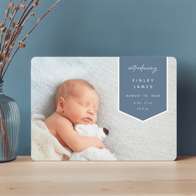 Banner Overlay | Horizontal Photo Birth Announcement (Creator Uploaded)