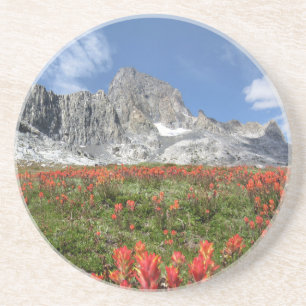 Banner Peak Wildflowers - Ansel Adams Wilderness Coaster