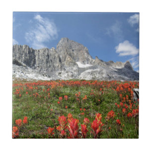Banner Peak Wildflowers - Ansel Adams Wilderness Tile