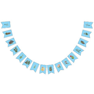 BANNIÈRE À FANIONS