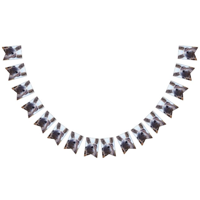 Bannière À Fanions Âne souriant gris comique (Tout)