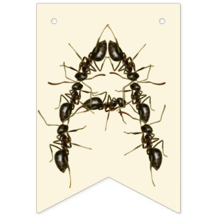 Bannière À Fanions Anniversaire des insectes - Anniversaire des insec