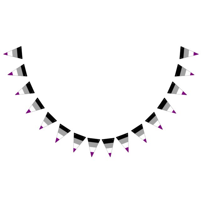 Bannière À Fanions Asexuality pride flag banner (Tout)